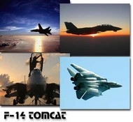 F-14 Tomcat Screensaver screenshot